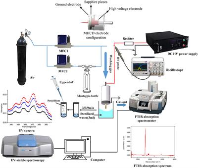 The Effect of Air-Water-Plasma-Jet-Activated Water on Penicillium: The Reaction of HNO2 and H2O2 Under Acidic Condition